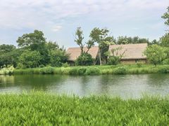 -良渚古城遗址公园