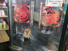-美联众合动物医院(唯恩分院)