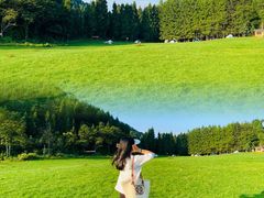 -武陵山森林公园