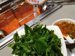 -海底捞火锅(8号仓店)
