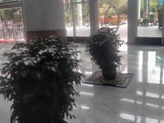 -深圳特区报业大厦