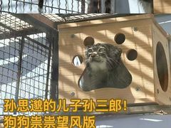 -青藏高原野生动物园