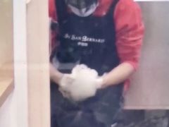 -佐罗家宠物馆·猫文化馆(紫霞路店)