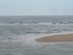 -日照海滨国家森林公园