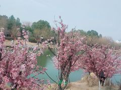 -木兰水镇旅游景区