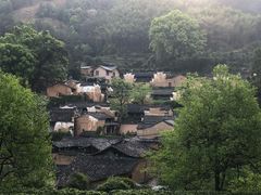 -杨家堂村