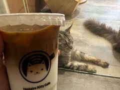 -楼上猫咖(罗湖店)