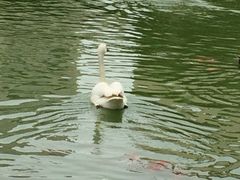 iphone_upload_pic-曲江惠宾苑宾馆(大雁塔大唐不夜城店)