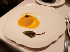 俄罗斯皇室带子-波特曼西餐厅(南岗店)