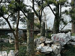 -紫金山天文台