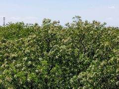 -南戴河国际娱乐中心