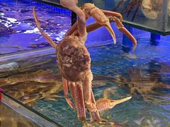 -驻海渔市(置信店)