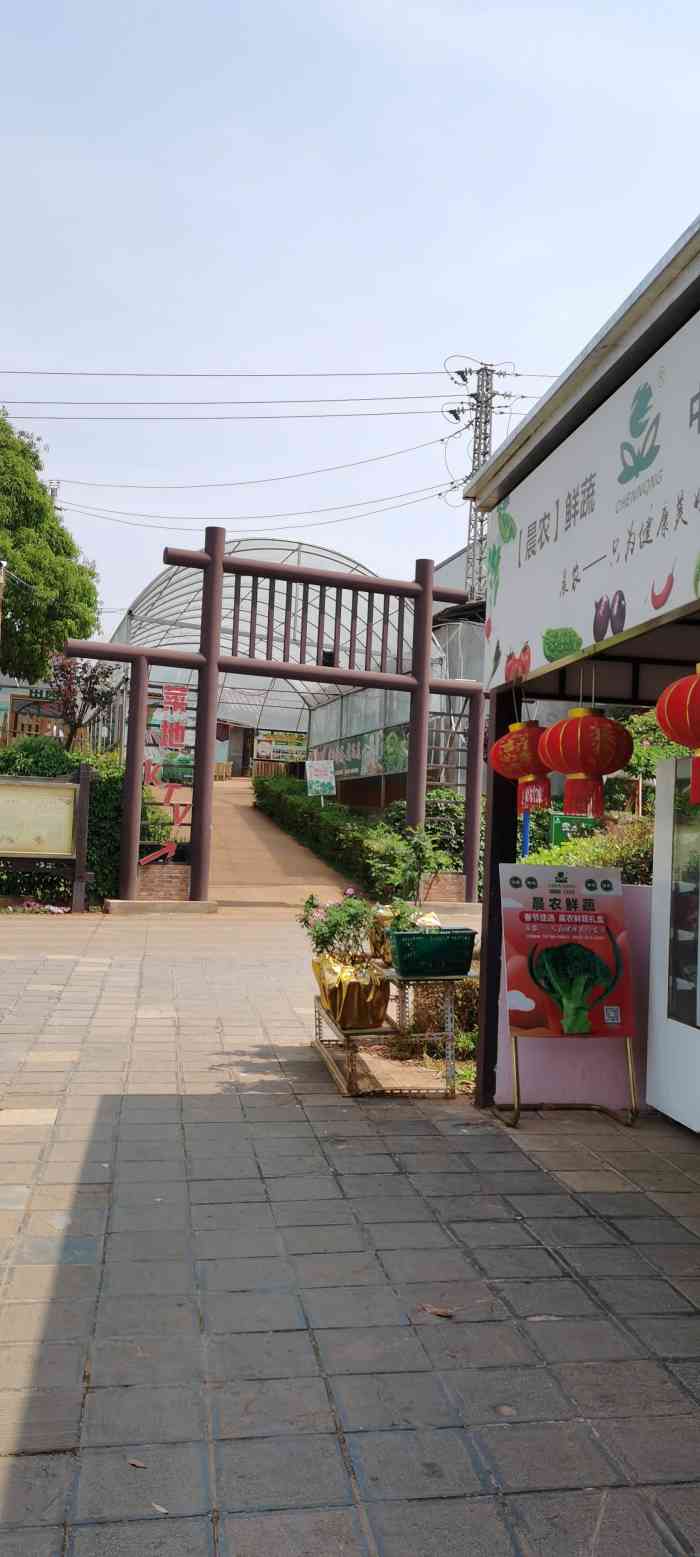 晨农生态园私房菜餐厅-"我和老公带着娃娃和爸爸妈妈一起去的,餐厅.