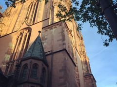 -Restaurant Paulaner am Dom