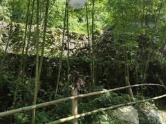 -都江堰中华大熊猫苑
