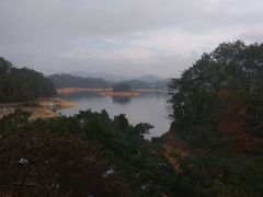 -广州市流溪河国家森林公园