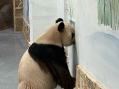 -无锡动物园·太湖欢乐园