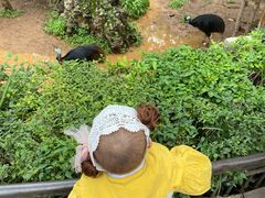 -昆明动物园
