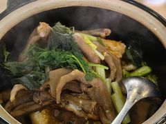 鹅掌鱼头煲-苏记餐厅(叠南店)