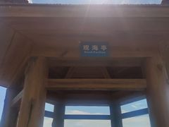 -广东惠东海龟国家级自然保护区