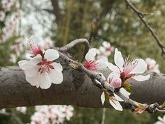 -三里河公园
