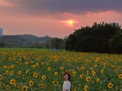 -光明小镇欢乐田园