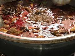 -韩妹鱼庄·泸定老字号(泸定店)