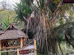 -中国科学院西双版纳热带植物园