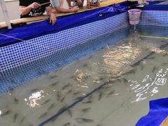 -小象钓虾·营地烧烤(洛溪店)