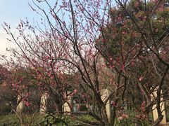 -鲁迅公园-垂钓中心