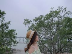 -宝安西湾红树林湿地公园