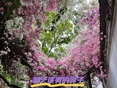 -深圳国际园林花卉博览园