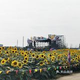 国庆的时候在九龙湾花彩小镇有一个音乐节活动