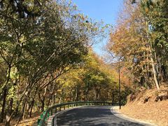 -南京市无想山景区