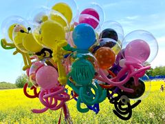 -天津武清北运河郊野公园房车露营地