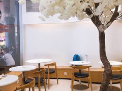 大堂-艾薯夫妇Aysh(福田星河COCOPark店)