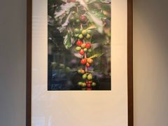 -星巴克(常州新北公园店)