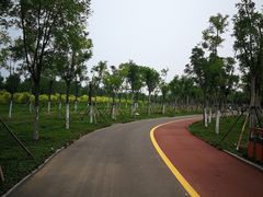 -天津东丽湖风景区