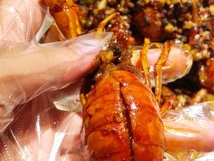 招牌小青龙-麻辣-虾胡闹·澳洲小龙虾·烧烤(福田鲨鱼店)