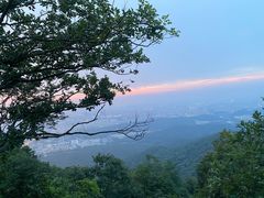 -紫金山山顶公园