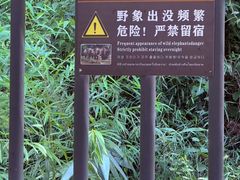 -野象谷景区