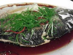 -罗浮山·罗园农庄