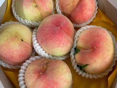 -南汇水蜜桃采摘(大团店)