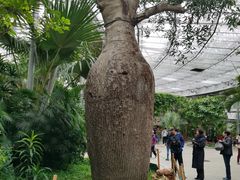 -北京植物园-展览温室