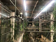 -荔城生鲜盛宴(番禺旗舰店)
