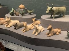 -广西壮族自治区博物馆