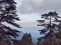 -黄山风景区