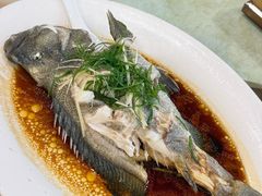 -新金盛·海鲜酒楼(盐田店)