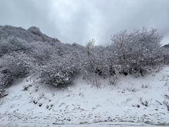 -太子岭滑雪场