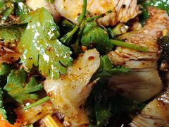 -清真.回香园(南街店)